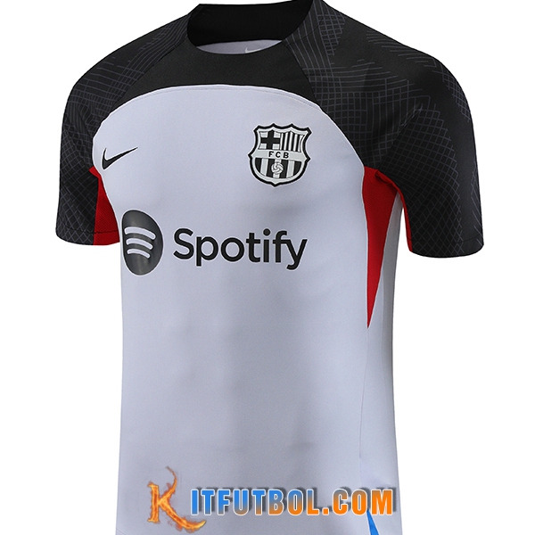 Tiendas De Camiseta Entrenamiento FC Barcelona Gris 2023/2024